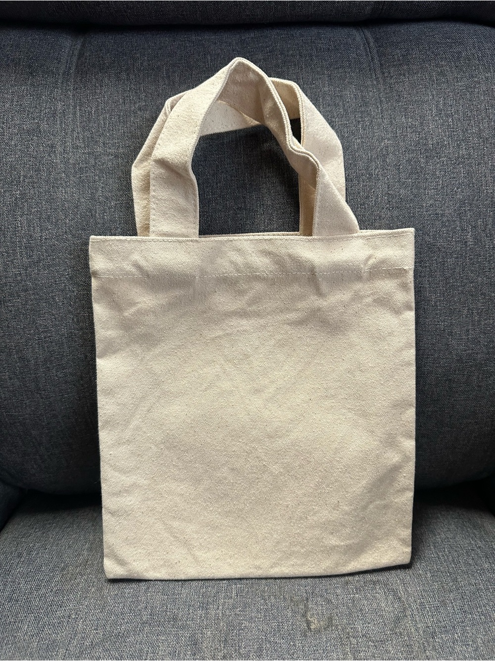 OUAI-Cation Canvas Mini Tote Bag - Picture 4 of 4
